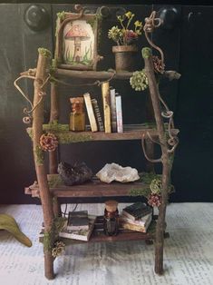 a shelf with books and plants on it