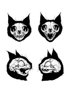 four different types of cats with their heads in the shape of skulls and bones on them