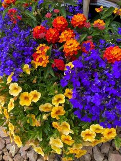 many different colored flowers in a rock planter