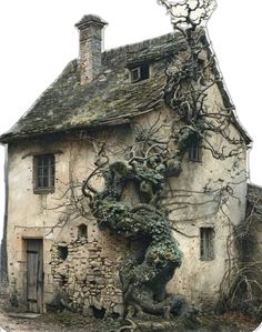 an old house with vines growing on it