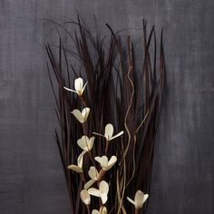 some white flowers and brown stems against a gray wall