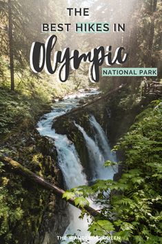 the best hikes in olympic national park