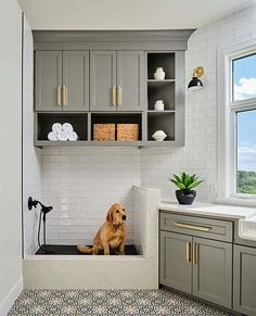 a dog sitting in the corner of a bathroom with gray cabinets and white tile flooring