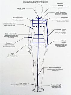 an image of a diagram of the human body with all its features and labelings