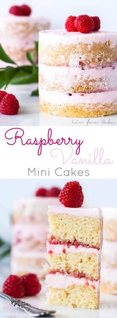 raspberry vanilla mini cakes with fresh raspberries on top