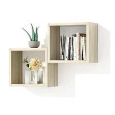 two wooden shelves with plants and books on them