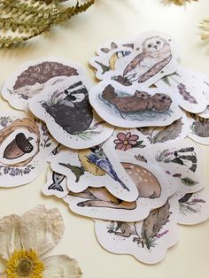 several stickers with birds and flowers on top of a white tablecloth next to dried flowers