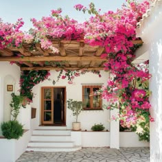 pink flowers are growing on the outside of a house