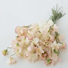 some white and pink flowers on a table