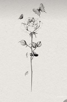 a black and white drawing of a rose with two butterflies flying over the top of it