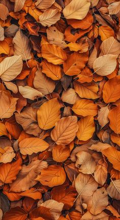 many different colored leaves laying on top of each other in the same pattern and color