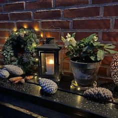 some pine cones are sitting on a table next to a candle and potted plant