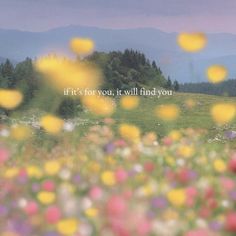 a field full of flowers with the words it's for you, it will find you