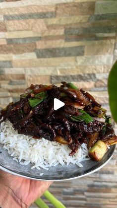 a person holding a plate with rice and meat on it