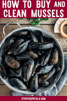 a bucket full of mussels with the title how to buy and clean mussels