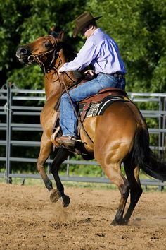 a man riding on the back of a brown horse