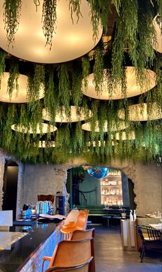 the interior of a restaurant with plants hanging from the ceiling