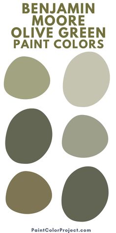 the best sage green paint colors