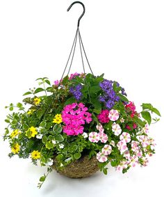 a hanging basket filled with lots of colorful flowers