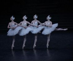 four ballerinas in white tutus are lined up