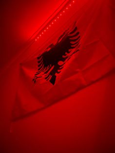 a red flag with a black eagle on it's side and some lights in the background