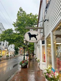 a black dog sign hanging from the side of a building next to a sidewalk with potted plants