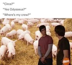 two people standing in front of a herd of sheep with the caption,'circle? yes odysseus? where's my crew?