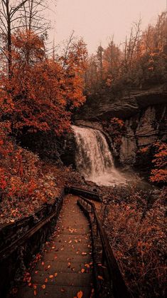 a small waterfall in the middle of a forest filled with trees and leaves on either side