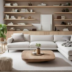 a living room filled with furniture and shelves