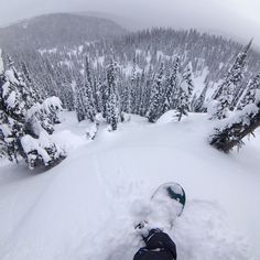 a person standing on top of a snow covered slope next to evergreens and trees