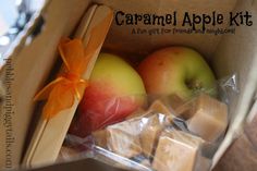 caramel apple kit in a box with two apples