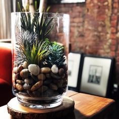 a glass vase filled with rocks and plants