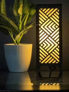 a potted plant sitting next to a lamp on a table