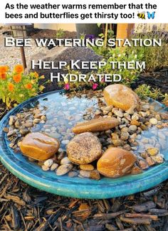 a blue plate with rocks in it and the words bee watering station help keep them hydrated