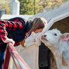 a woman is petting a cow in an enclosure