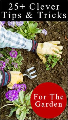 gardening tips and tricks for the garden with text overlay that reads, 25 clever tips & tricks for the garden