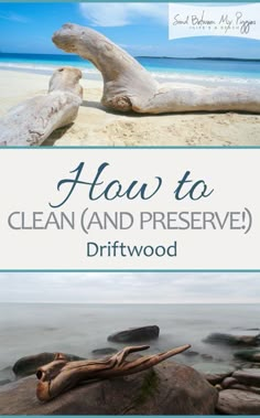 the cover of how to clean and preserve driftwood