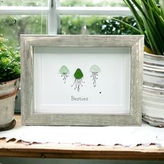 an image of two jellyfishs in the water on a table next to potted plants