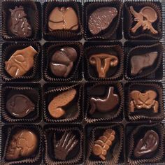 an assortment of chocolates in a box