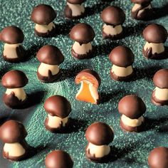 chocolate candies with white and brown toppings arranged on green clothed tablecloth