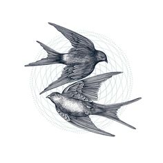 two birds flying side by side in front of a circular design on a white background