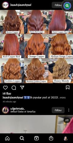 Copper Shades Hair, Different Types Of Ginger Hair, From Brown To Copper Hair, Different Copper Hair Colors, Shades Of Ginger Hair Chart, Ginger Hair On Brown Hair, Copper Hair Glaze, Different Ginger Hair Colors, Brown Hair To Ginger