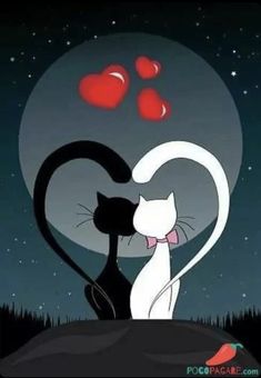 two cats in the night with hearts on their backs and one cat looking up at the sky