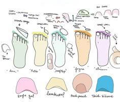 the different types of feet are shown in this drawing