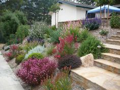 an outdoor garden with steps leading up to the house and flowers growing on the side