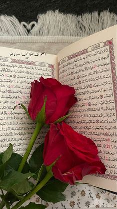 a red rose sitting in front of an open book with arabic writing on the pages