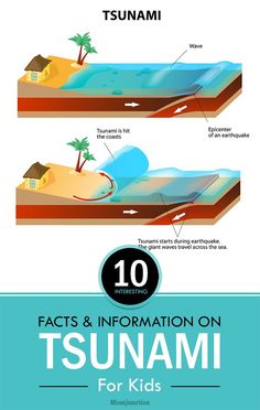 an info poster showing the different types of waves