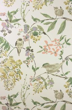 a wallpaper with birds and flowers on it's side, painted in pastel colors