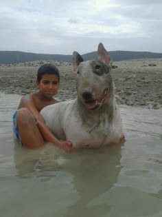 a boy and his dog are in the water