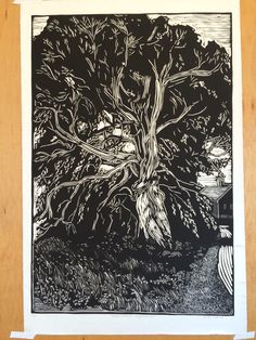 a black and white drawing of a tree